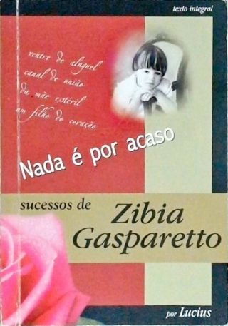 Nada É Por Acaso Zibia Gasparetto Lucius Traça Livraria e Sebo