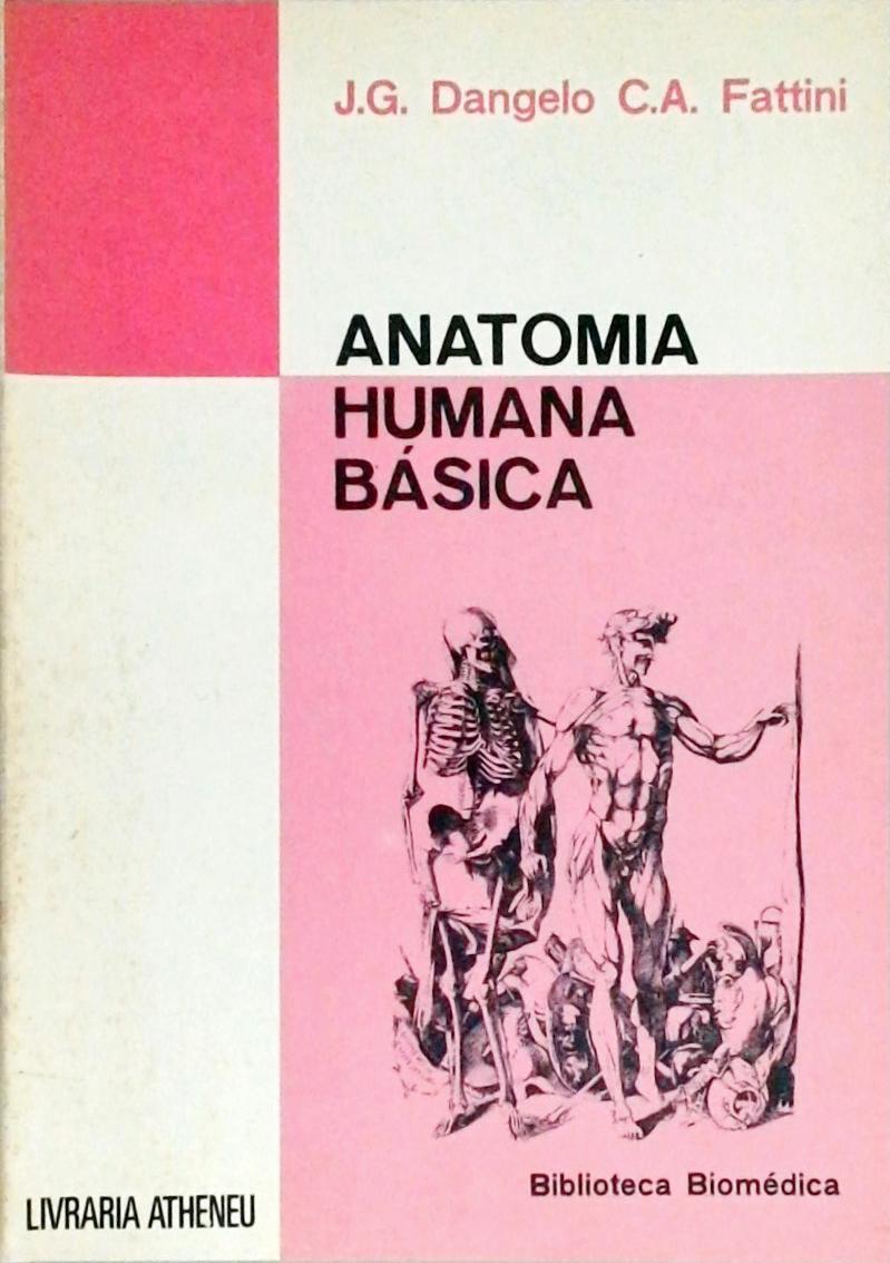 Anatomia Humana Básica José Geraldo Dangelo E Carlos Américo Fattini Traça Livraria E Sebo 0413