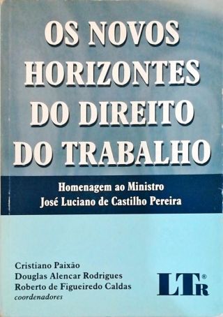 Os Novos Horizontes do Direito do Trabalho