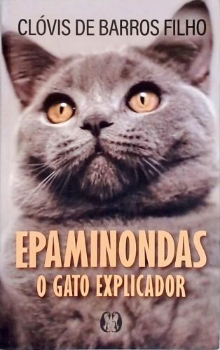 Epaminondas: O Gato explicador
